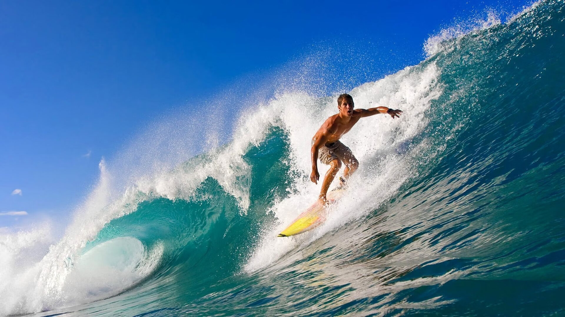 文班亚马在焦点战证明自己，猛龙单节拉开雄鹿
