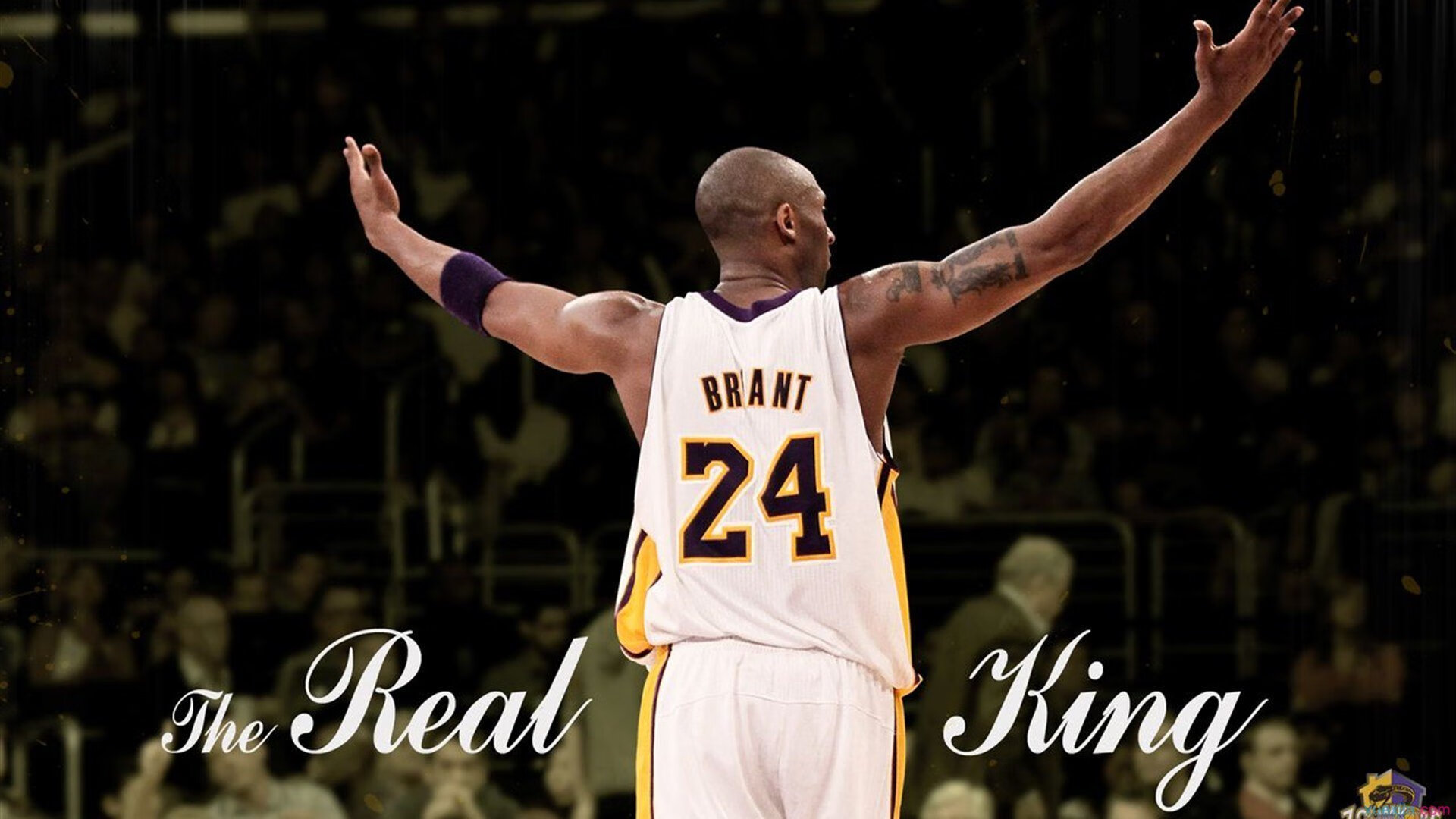 欧冠半决赛之夜，伦纳德状态火热